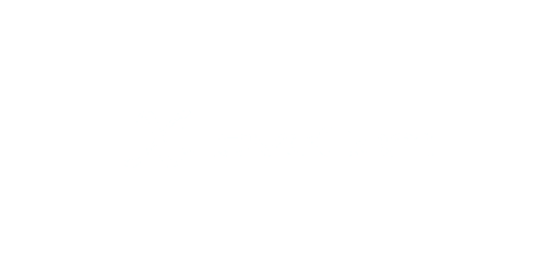 XLoveCam logo